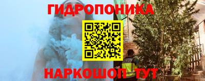 spice Бугуруслан