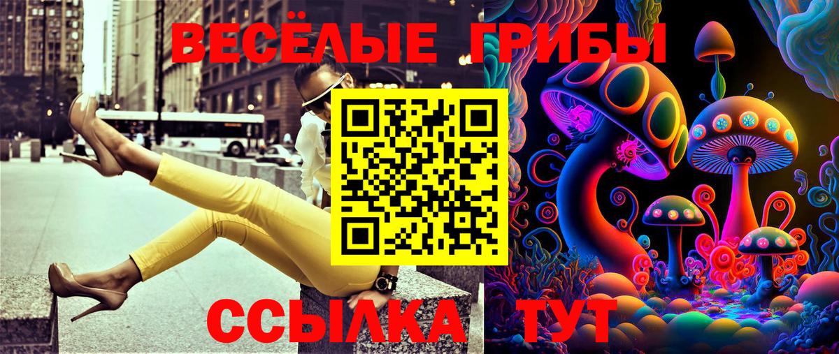 купить наркотик  Вход с VPN  Рубцовск  Псилоцибиновые грибы MAGIC MUSHROOMS 